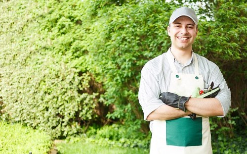 A professional gardener standing in a well-maintained garden with lush green foliage and a variety of plants in the background. The gardener is smiling and dressed in a light grey cap, a white and green apron, and black gardening gloves. In his arms, he holds a small garden hand tool, likely for pruning or planting. The garden features a neatly trimmed hedge, dense grass, and a paved pathway or patio area with visible textured stone or concrete surfaces. The natural tones of the plants range from deep greens to lighter, fresh foliage, with sunlight filtering through the trees, indicating a bright, clear day. This setting is characteristic of outdoor spaces typical of British gardens, where regular maintenance by companies like Garden Maintenance Barbican helps keep the landscape tidy and vibrant, especially within the context of London's Barbican area. The environment reflects a clean, organized garden space suitable for outdoor leisure or aesthetic enhancement, highlighting the importance of professional gardening services in urban outdoor care.